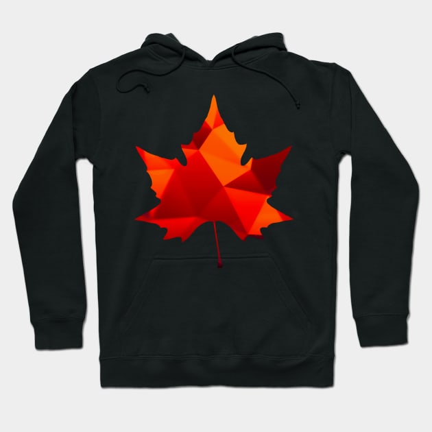 Maple Leaf Canada Pride Hoodie by ballhard